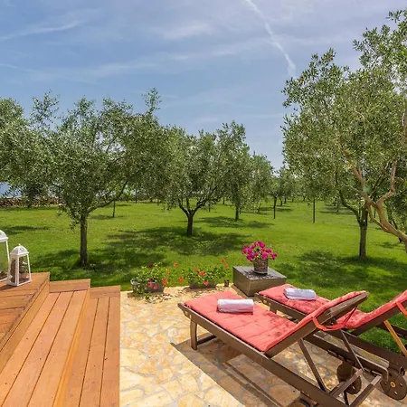 Ive & Beta With Pool & Jacuzzi In A Olive Grove, - Istria *