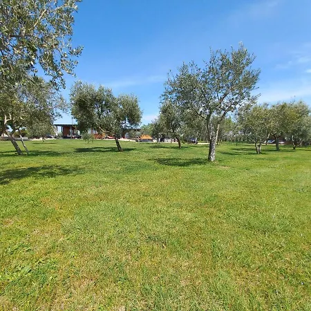 Nyaraló Ive & Beta With Pool & Jacuzzi In A Olive Grove, - Istria Pomer