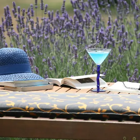 別荘 Ive & Beta With Pool & Jacuzzi In A Olive Grove, - Istria ポメル