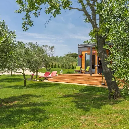 Ive & Beta With Pool & Jacuzzi In A Olive Grove, - Istria *
