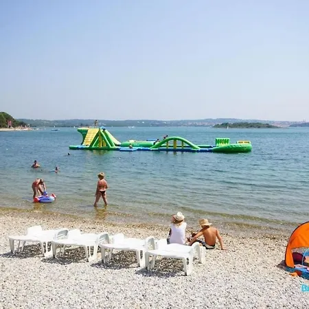 Ive & Beta With Pool & Jacuzzi In A Olive Grove, - Istria 別荘 *