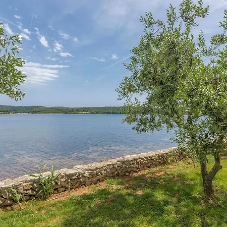 Ive & Beta With Pool & Jacuzzi In A Olive Grove, - Istria * ポメル