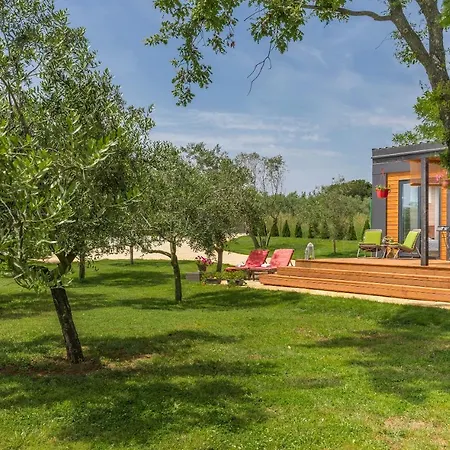 Ive & Beta With Pool & Jacuzzi In A Olive Grove, - Istria 別荘 *