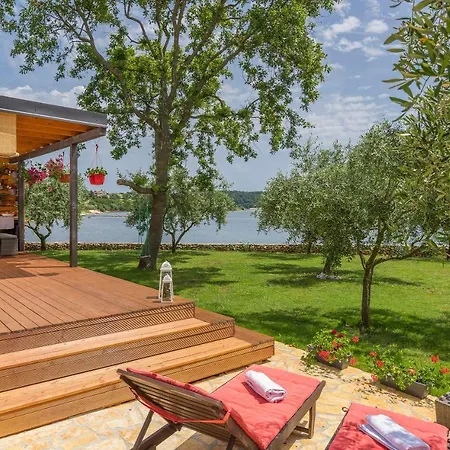 Ive & Beta With Pool & Jacuzzi In A Olive Grove, - Istria