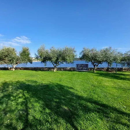 Ive & Beta With Pool & Jacuzzi In A Olive Grove, - Istria