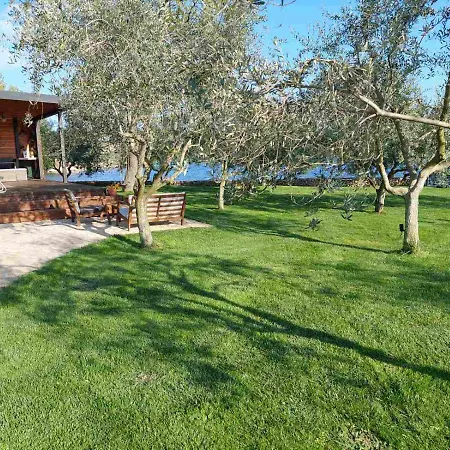 別荘 Ive & Beta With Pool & Jacuzzi In A Olive Grove, - Istria ポメル