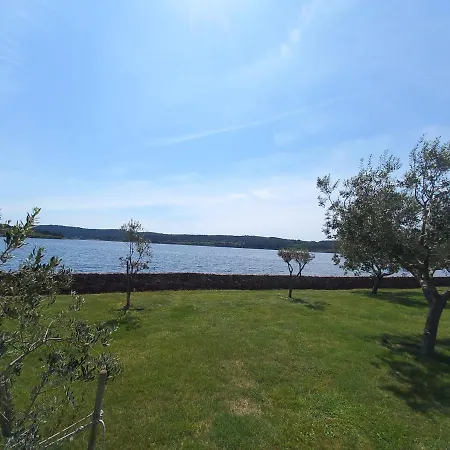 Ive & Beta With Pool & Jacuzzi In A Olive Grove, - Istria 別荘