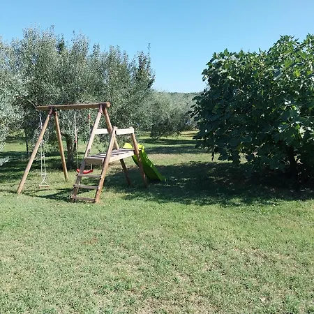 Ive & Beta With Pool & Jacuzzi In A Olive Grove, - Istria * ポメル